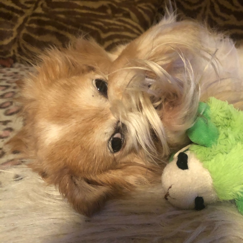 Welcome to my closet💕